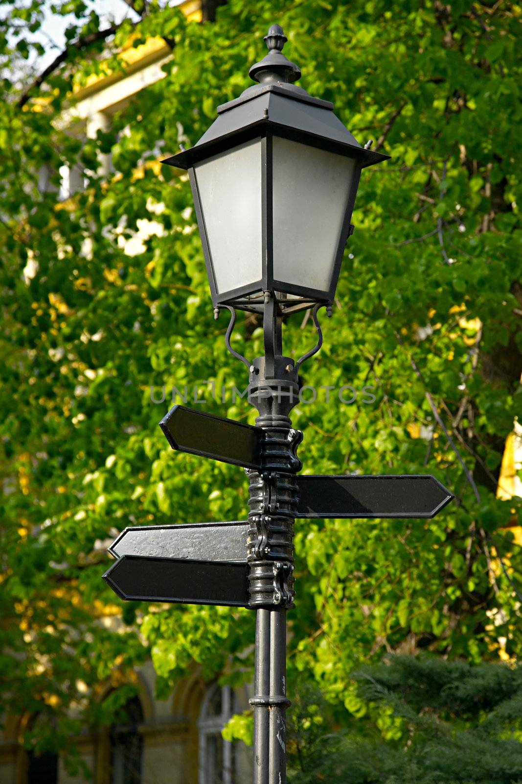 Blank direction sign in a park