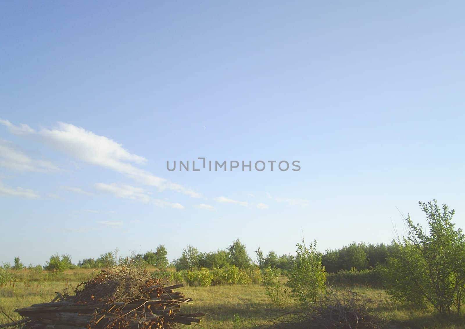 Summer quiet rural landscape with a field and the sky