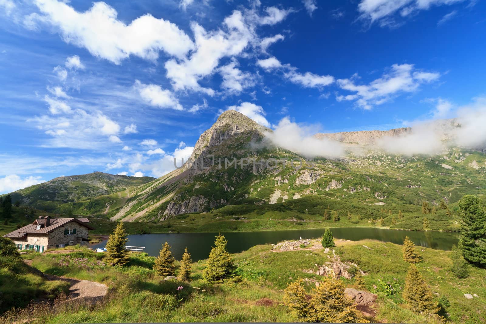 summer landscape of Colbricon lake, Italian Dolomites