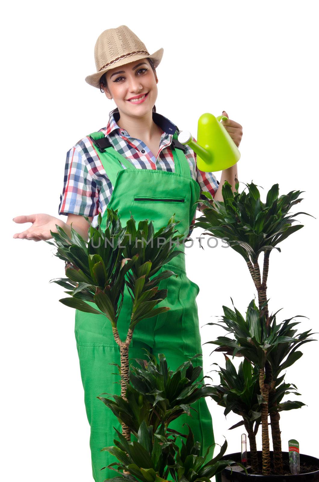 Girl watering plants on white