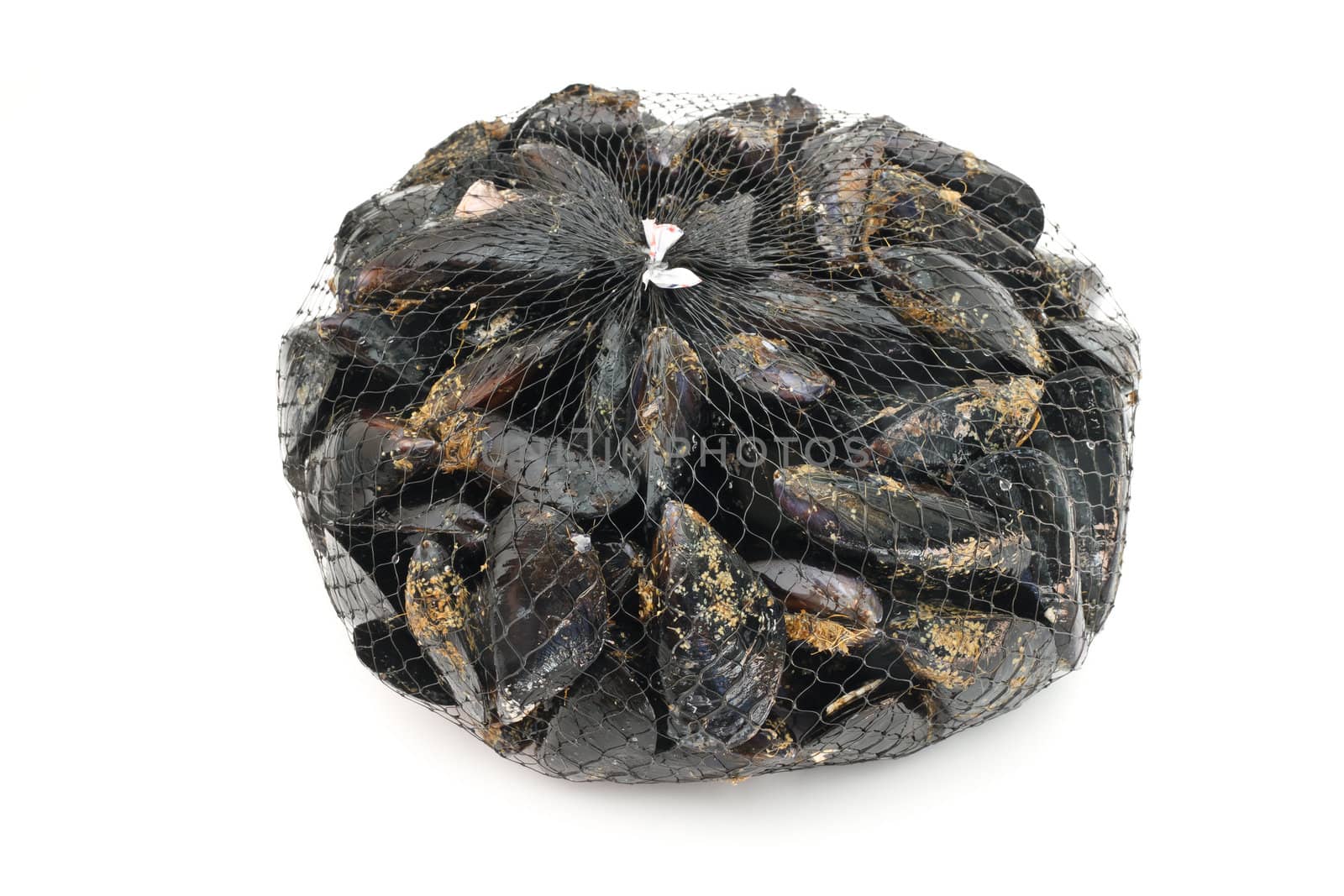 basket with fresh mussels over white background