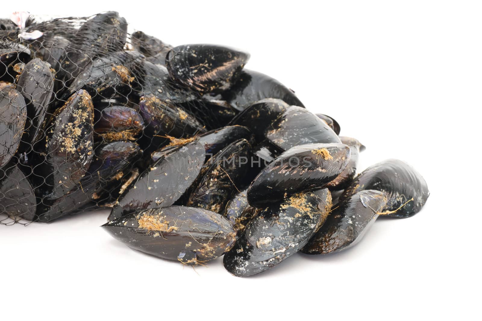 	basket with fresh mussels over white background