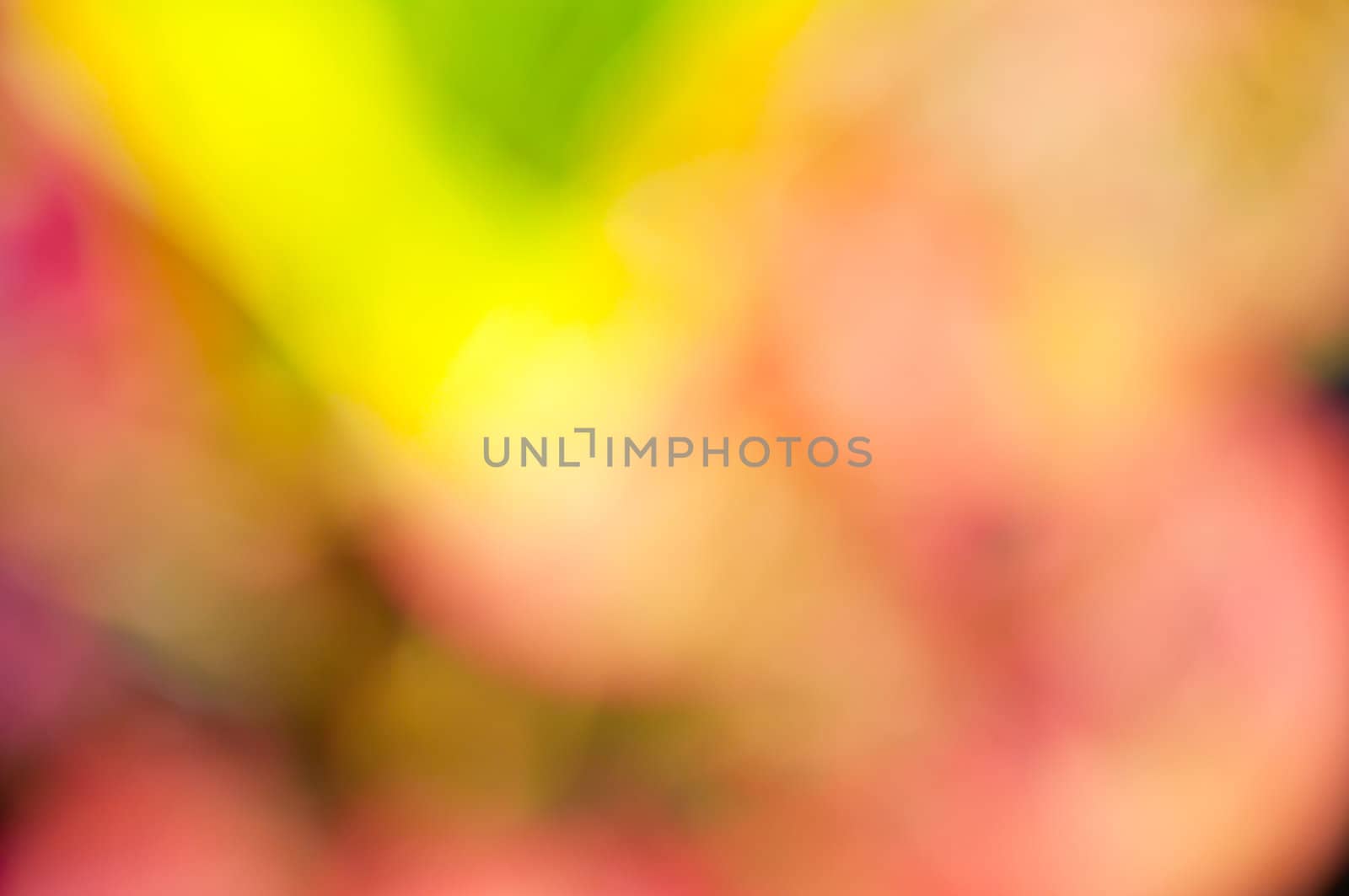 Defocus of redleaf by buffaloboy