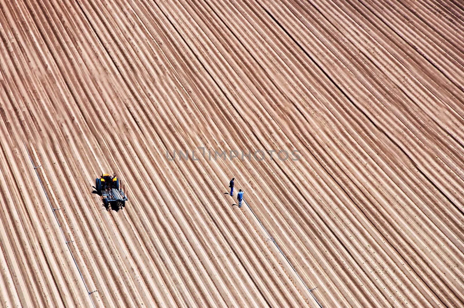 Agriculture field lines and two farmers with tractor, no horizon