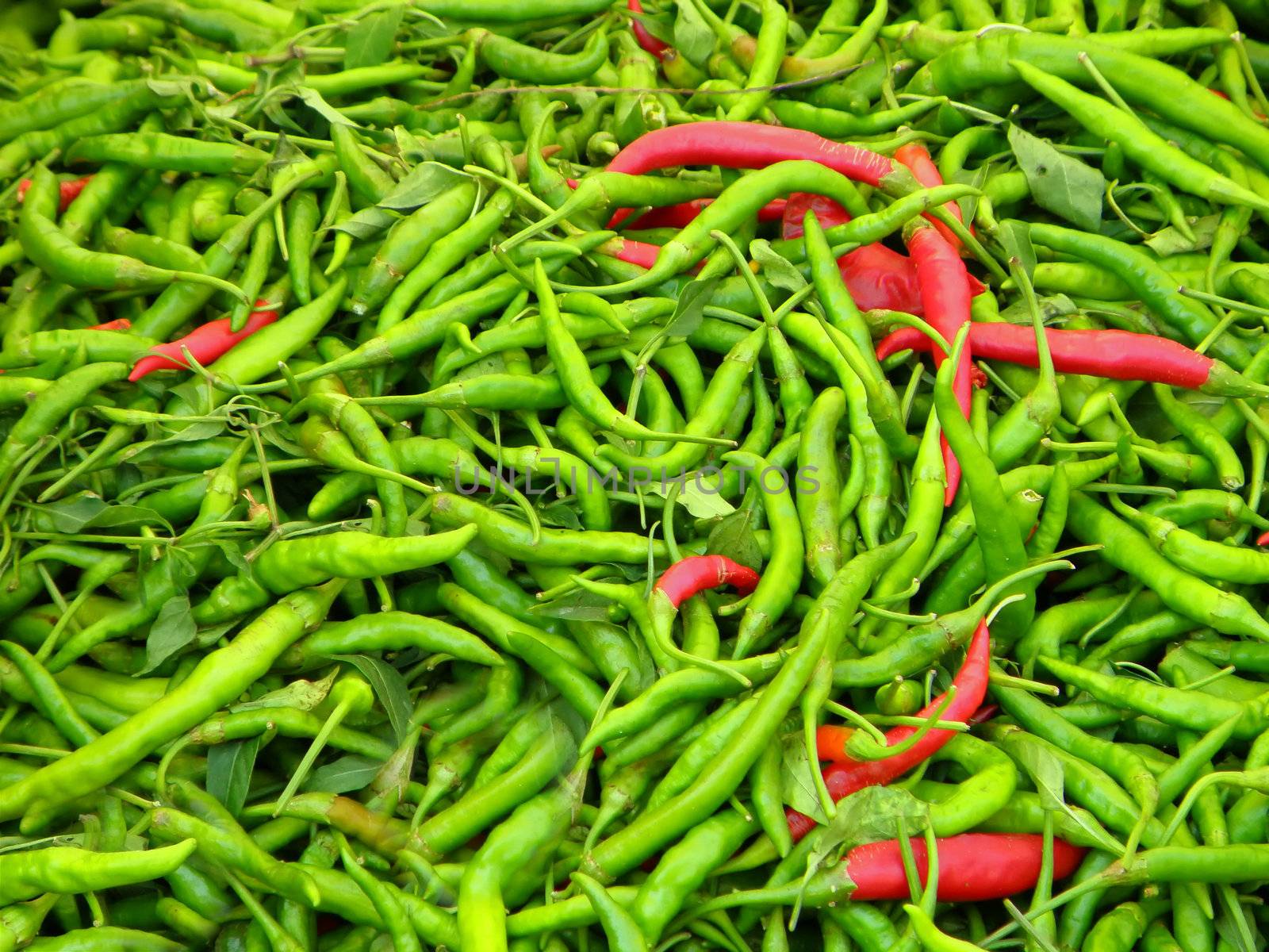 Green and red chilli peppers by martinm303