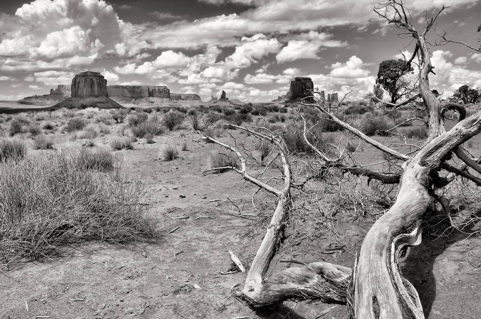 Monument valley black and white landscape view by martinm303