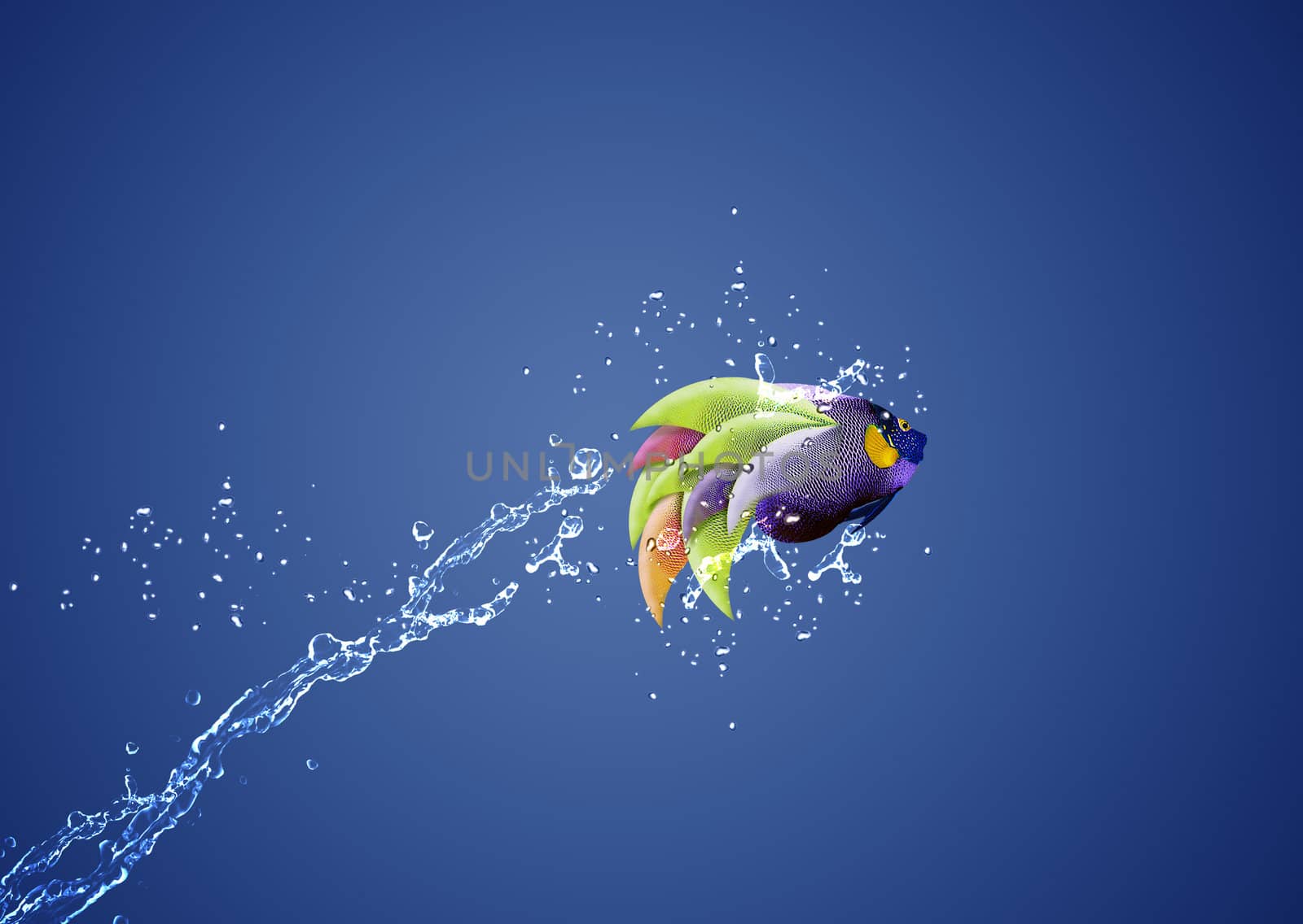 Angelfish jumping, good concept for Recklessness and challenge concept.