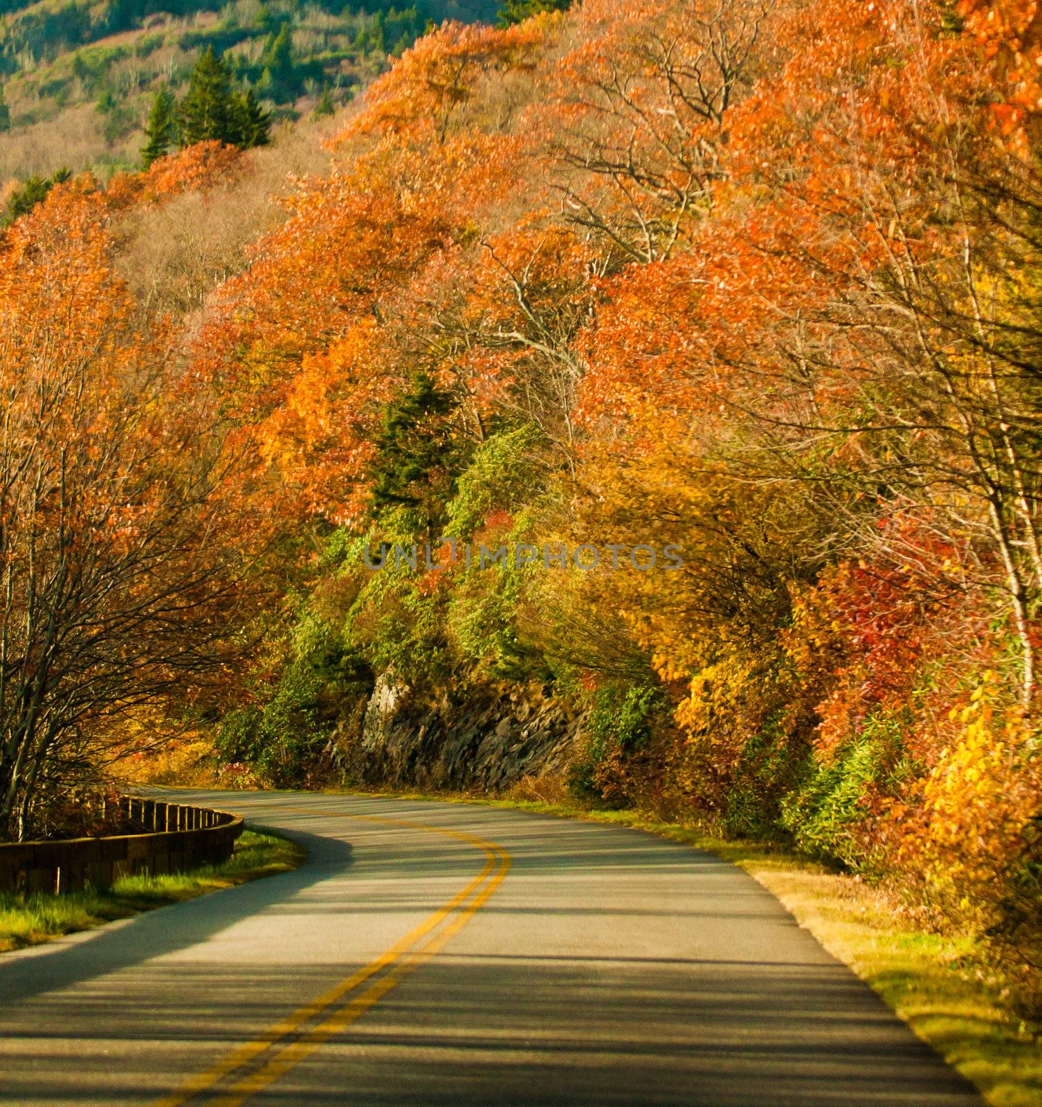 autumn road through blue ridge parkway by digidreamgrafix