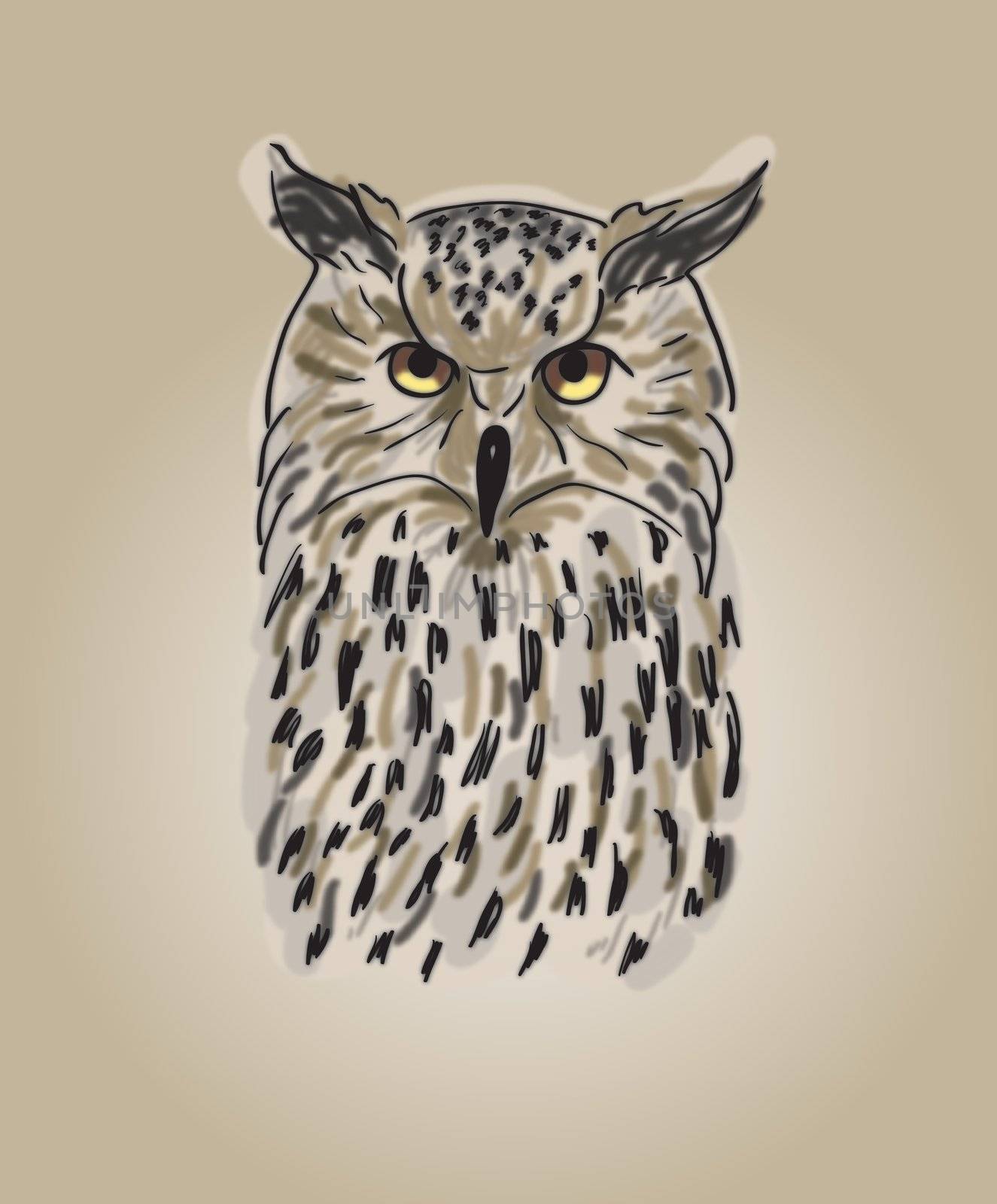 Hand drawn cartoon of owl, Single brown owl
