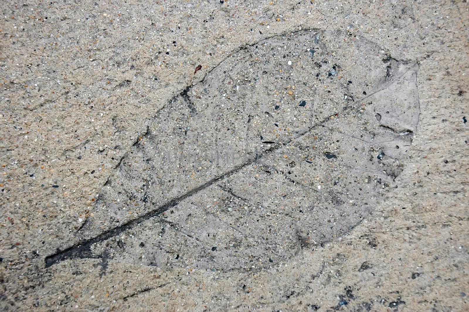 Figure leaf stone by phanlop88