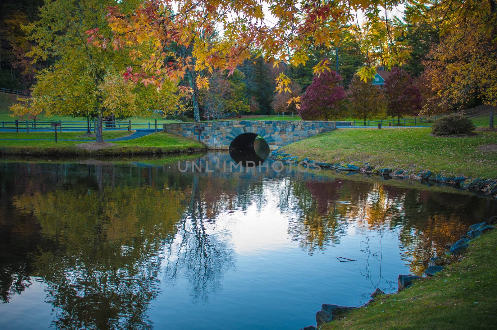 lake reflection by digidreamgrafix