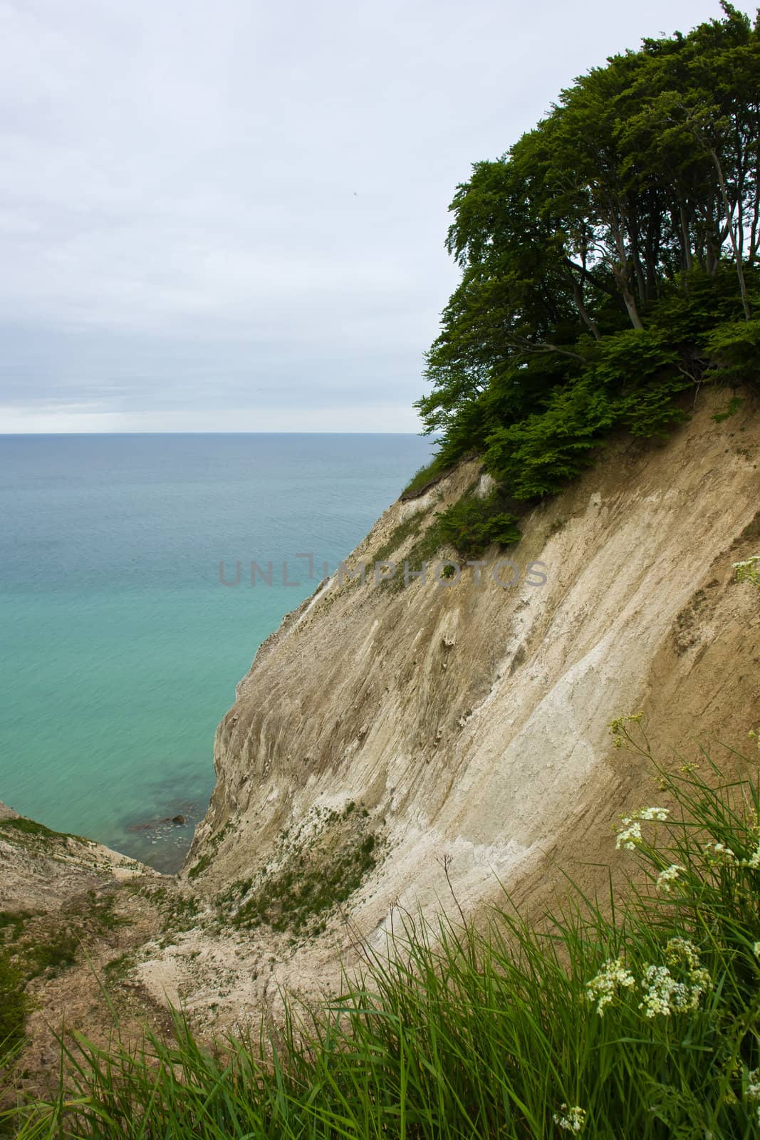 The White Cliffs of Moen Denmark nature attraction by the Baltic Sea