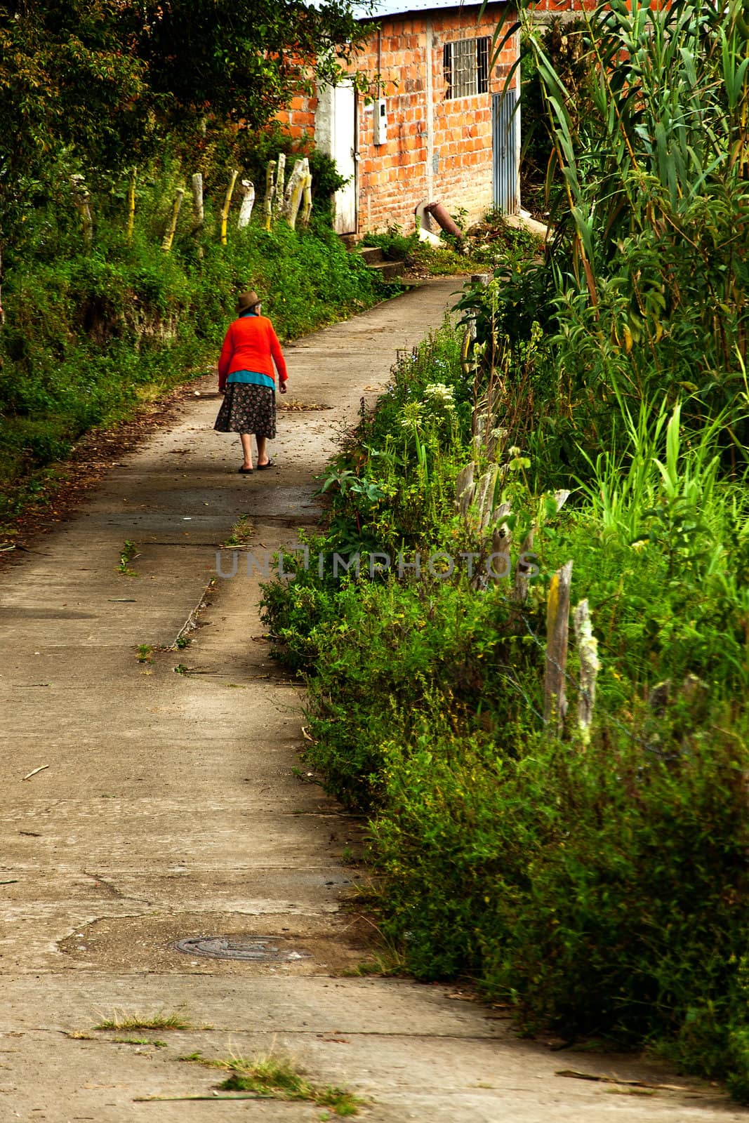 An elderly woman walks down a road in rural South America.