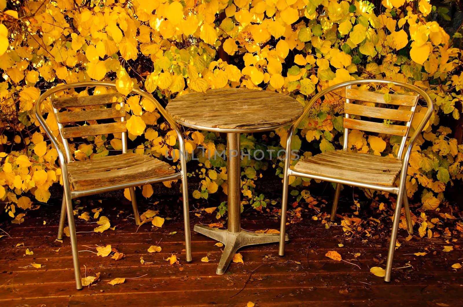 Garden furniture in autumn by GryT