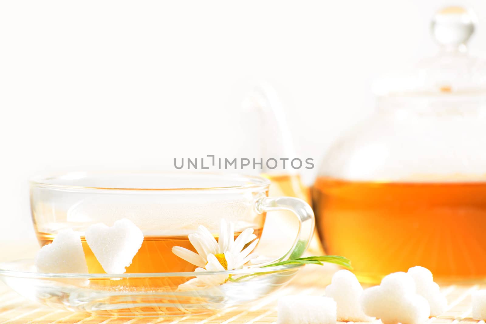 A teacup and a teapot with herbal chamomile tea