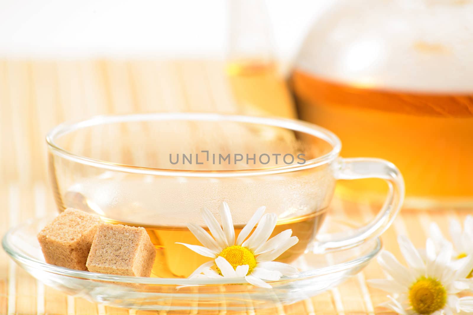 A teacup and a teapot with herbal chamomile tea