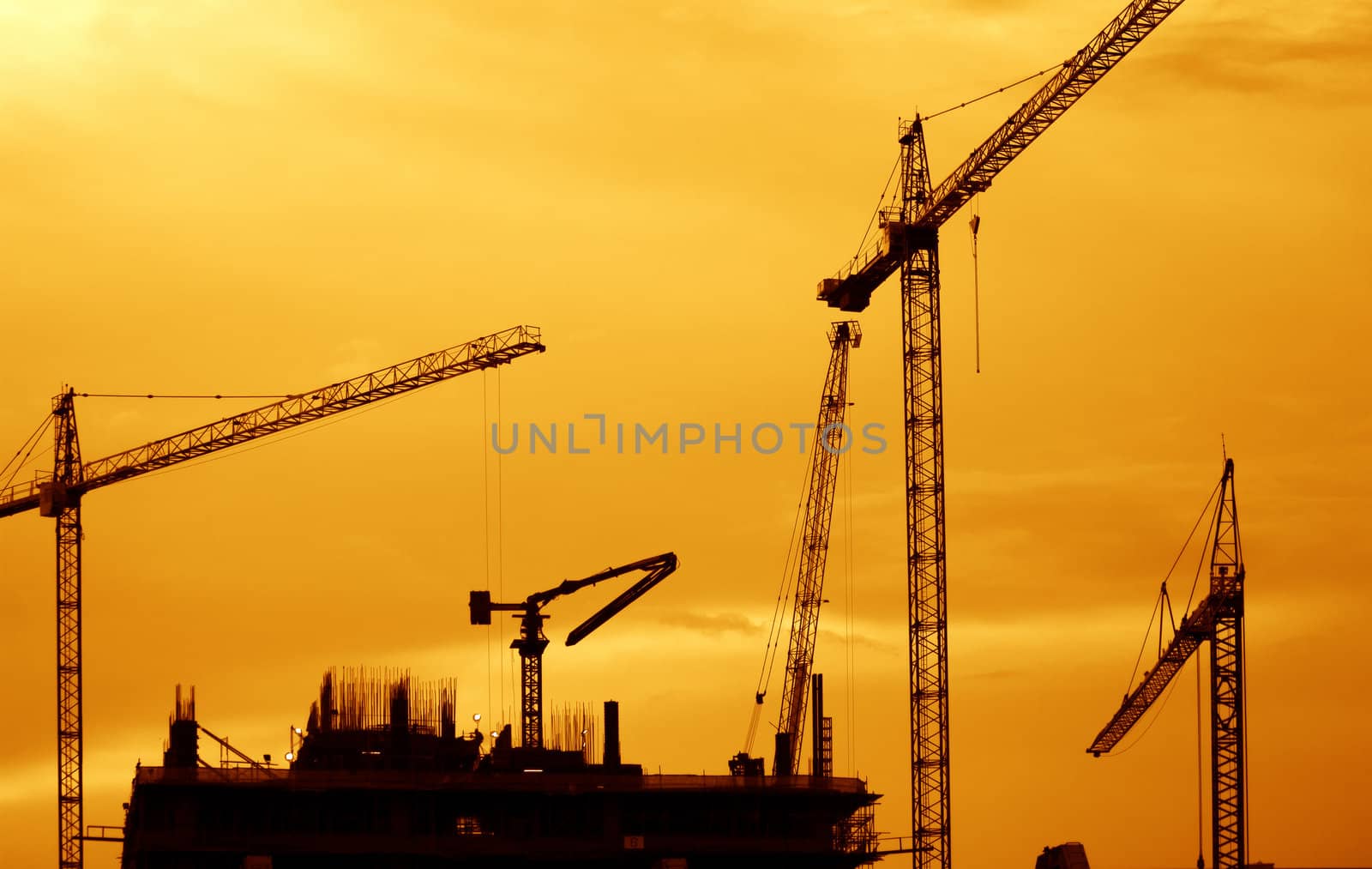 Building Construction with Cranes in the evening.