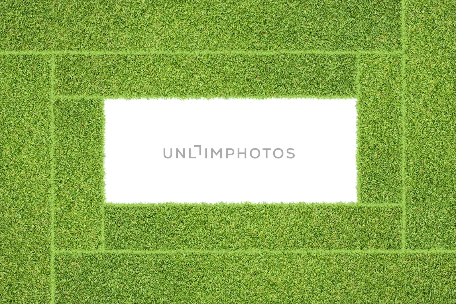 Green grass texture and background