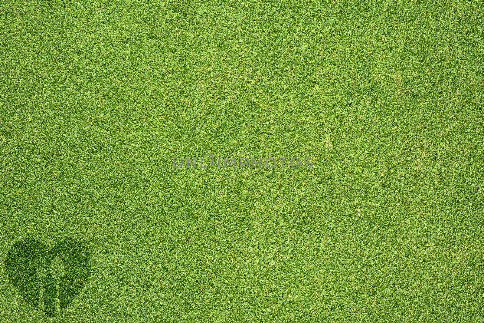 Spoon with heart icon on green grass texture and background