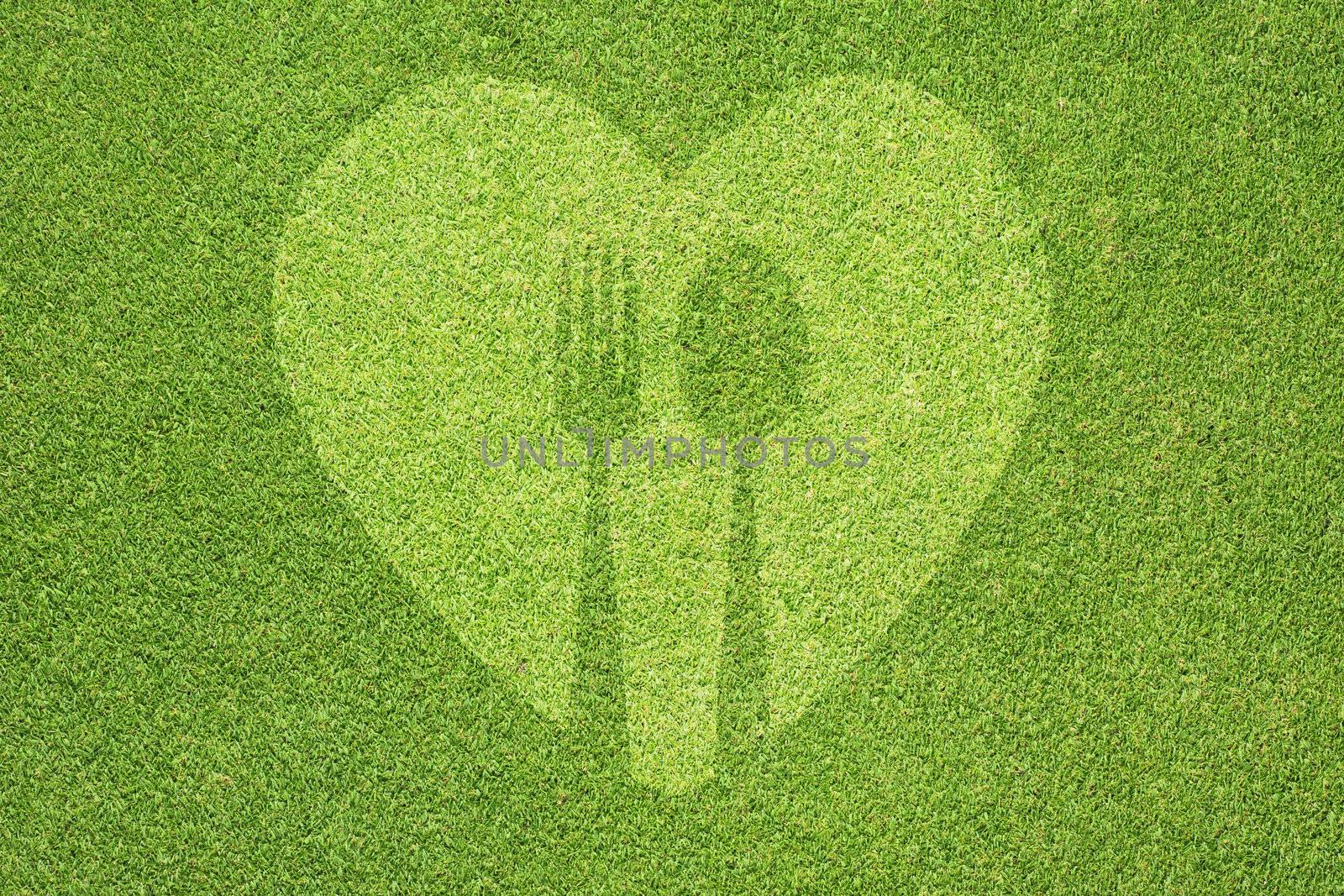 Spoon with heart icon on green grass texture and background