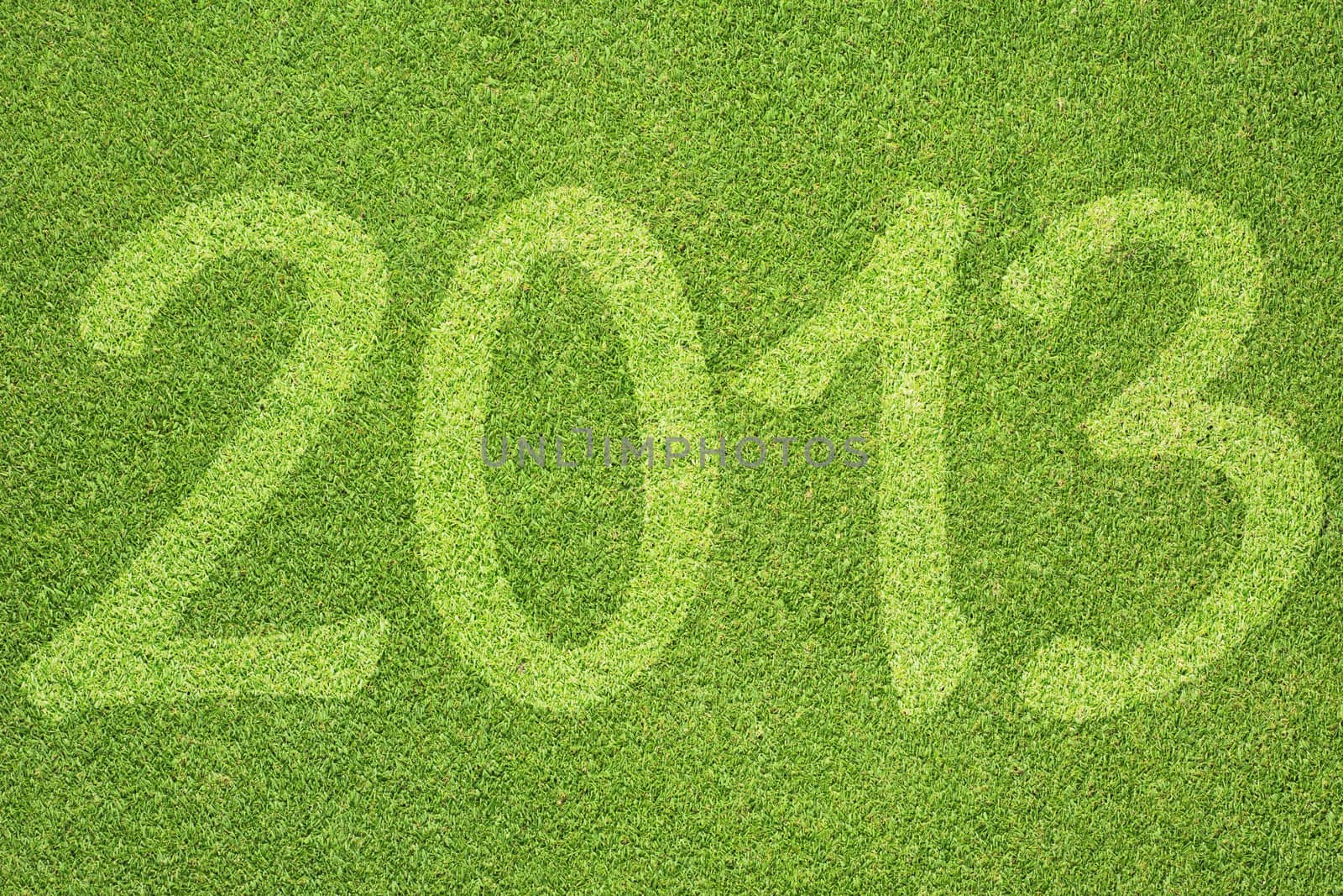 Green grass of 2013 year texture and  background