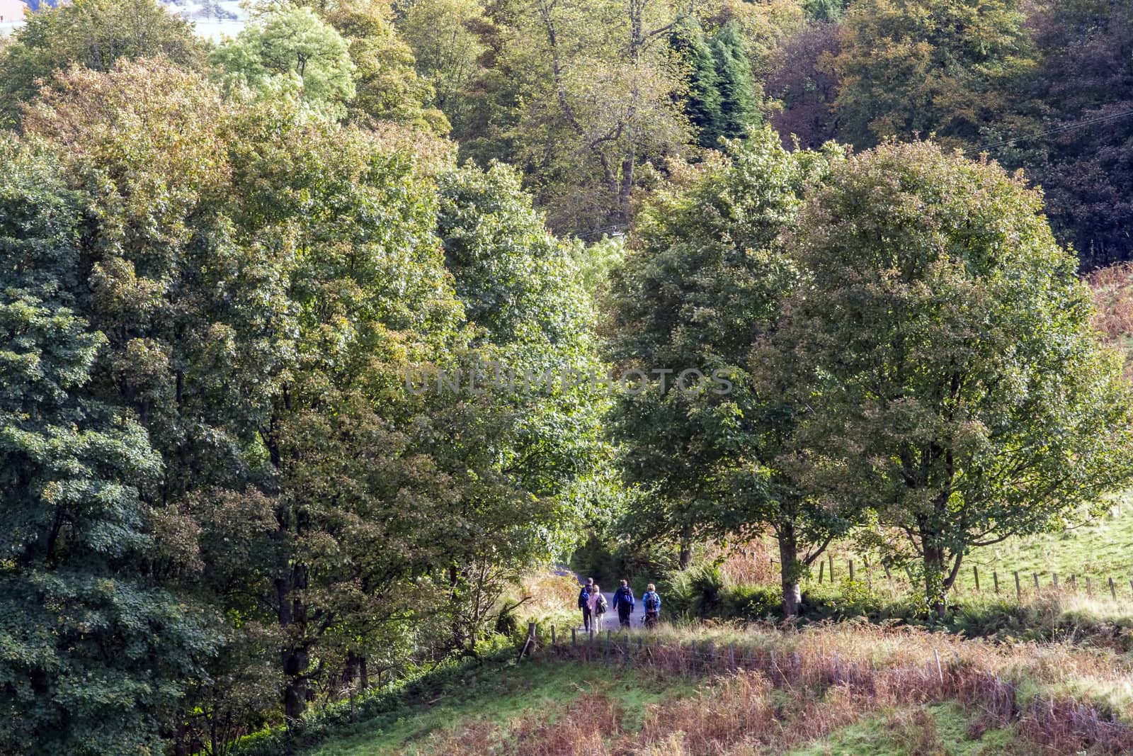 Scottish Hill Walkers by astar321