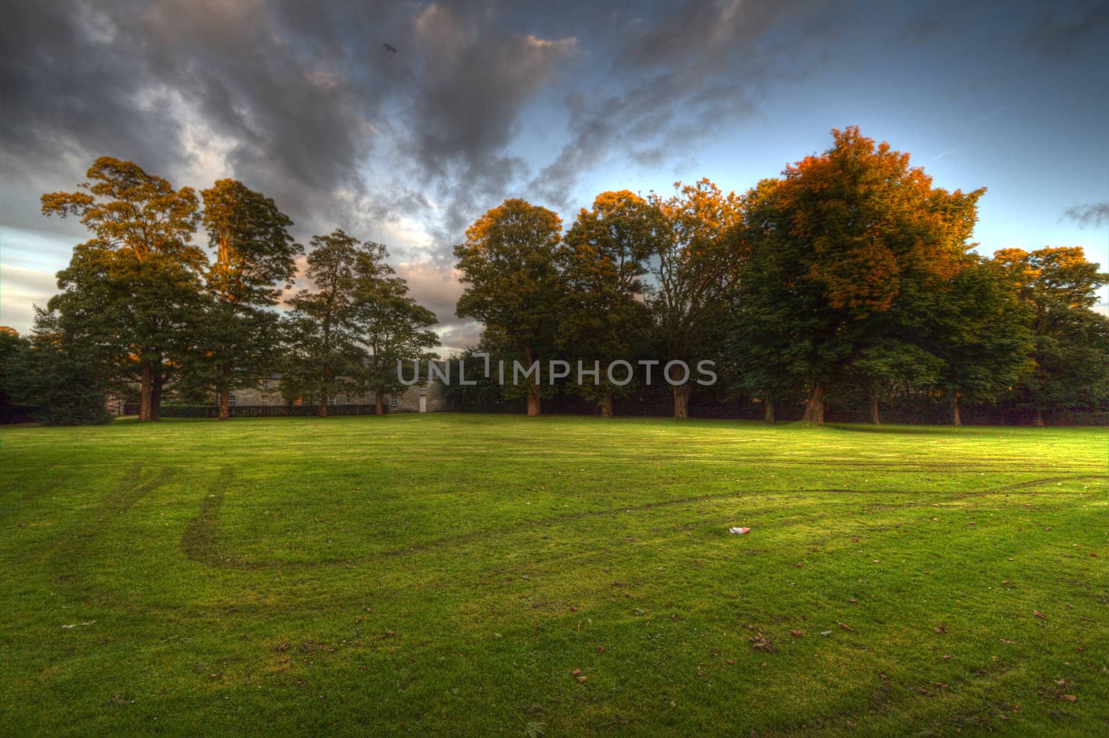 Grass Field by astar321