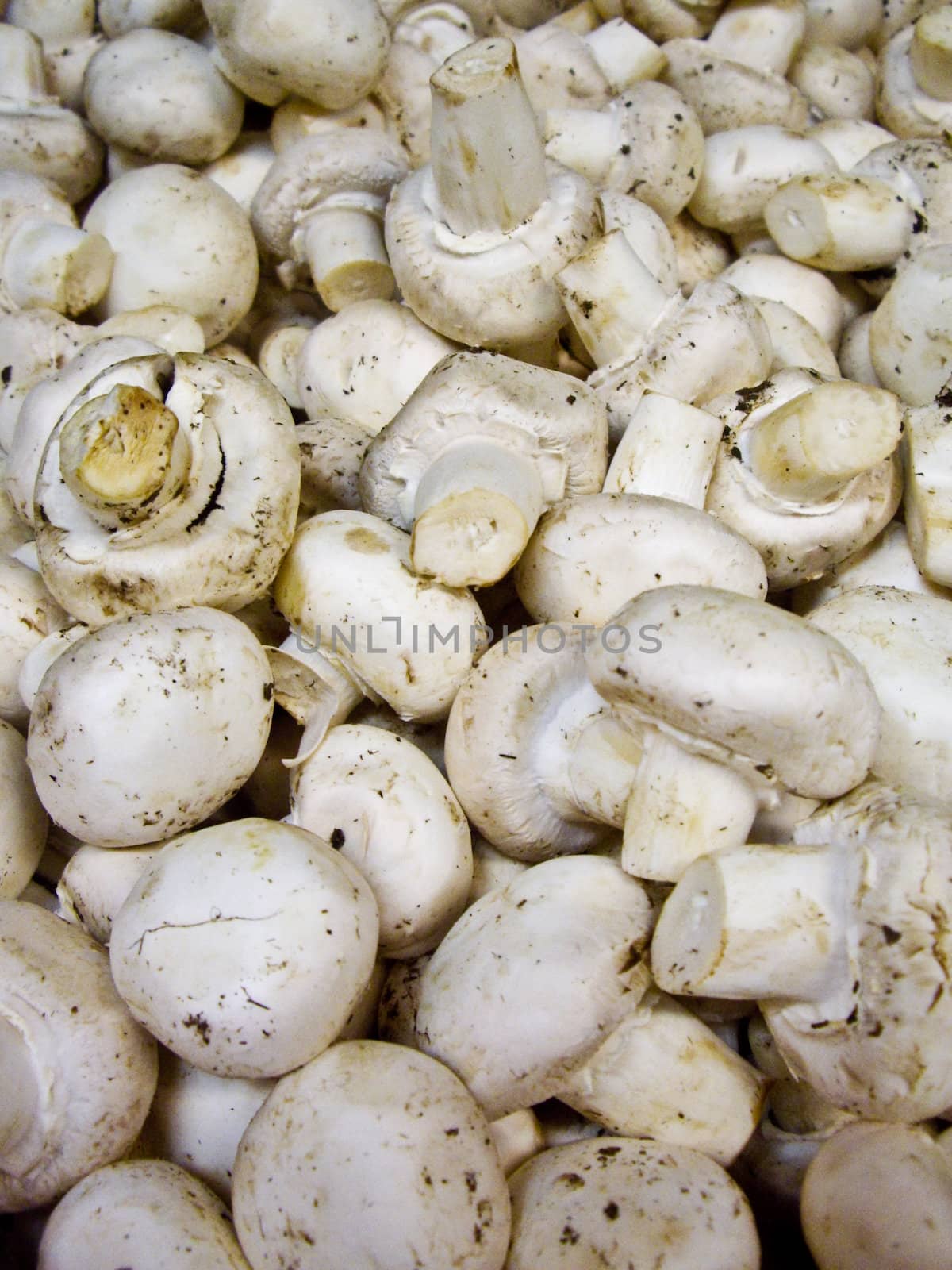 White button mushrooms on a fresh produce stall California, USA