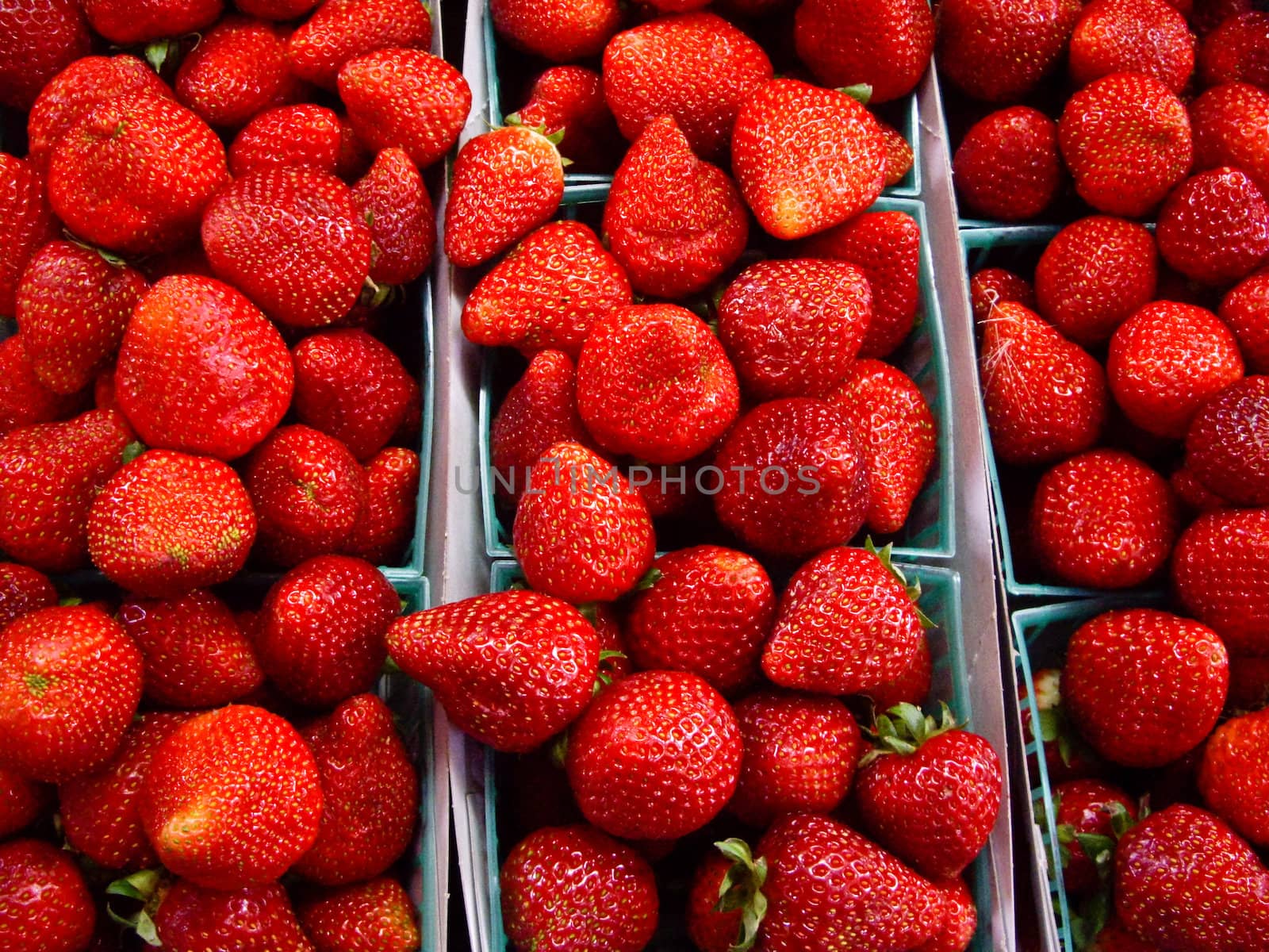 Bright Red Strawberries by emattil