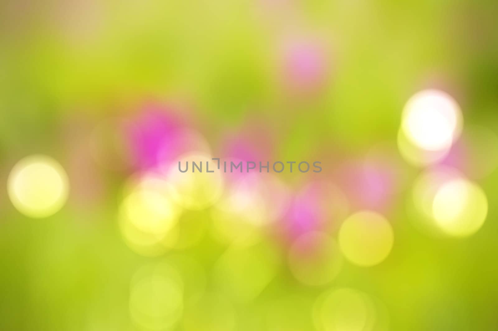 Abstract background green bokeh circles 