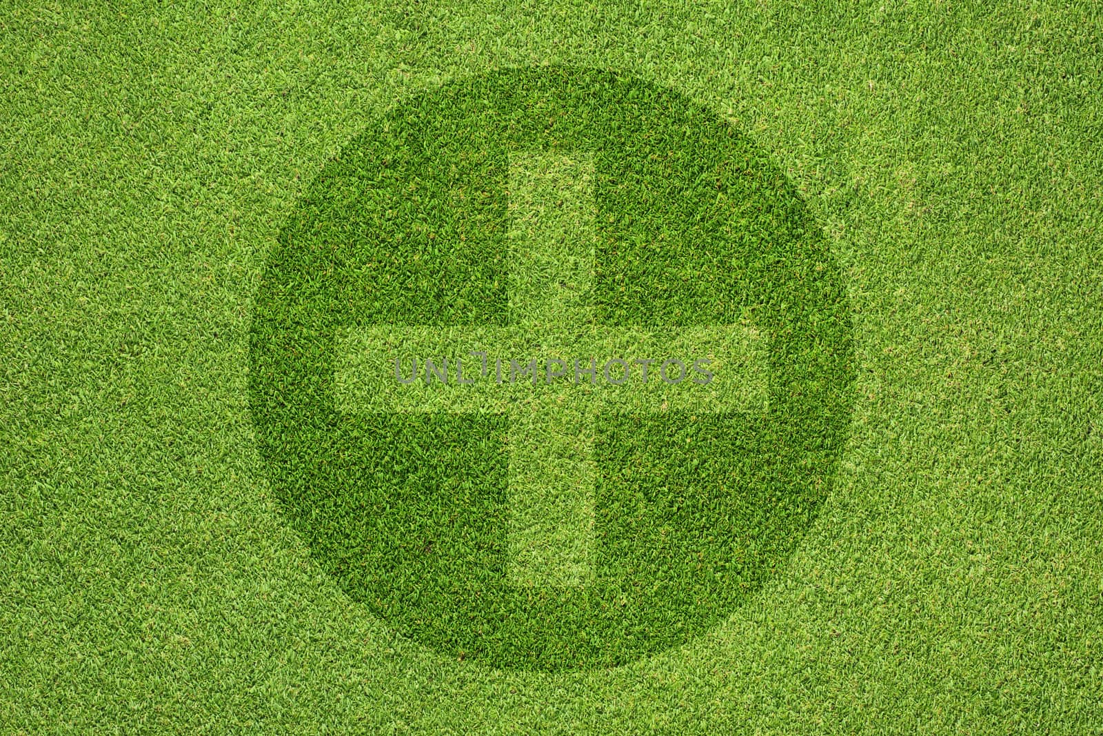 Plus on green grass texture and background 