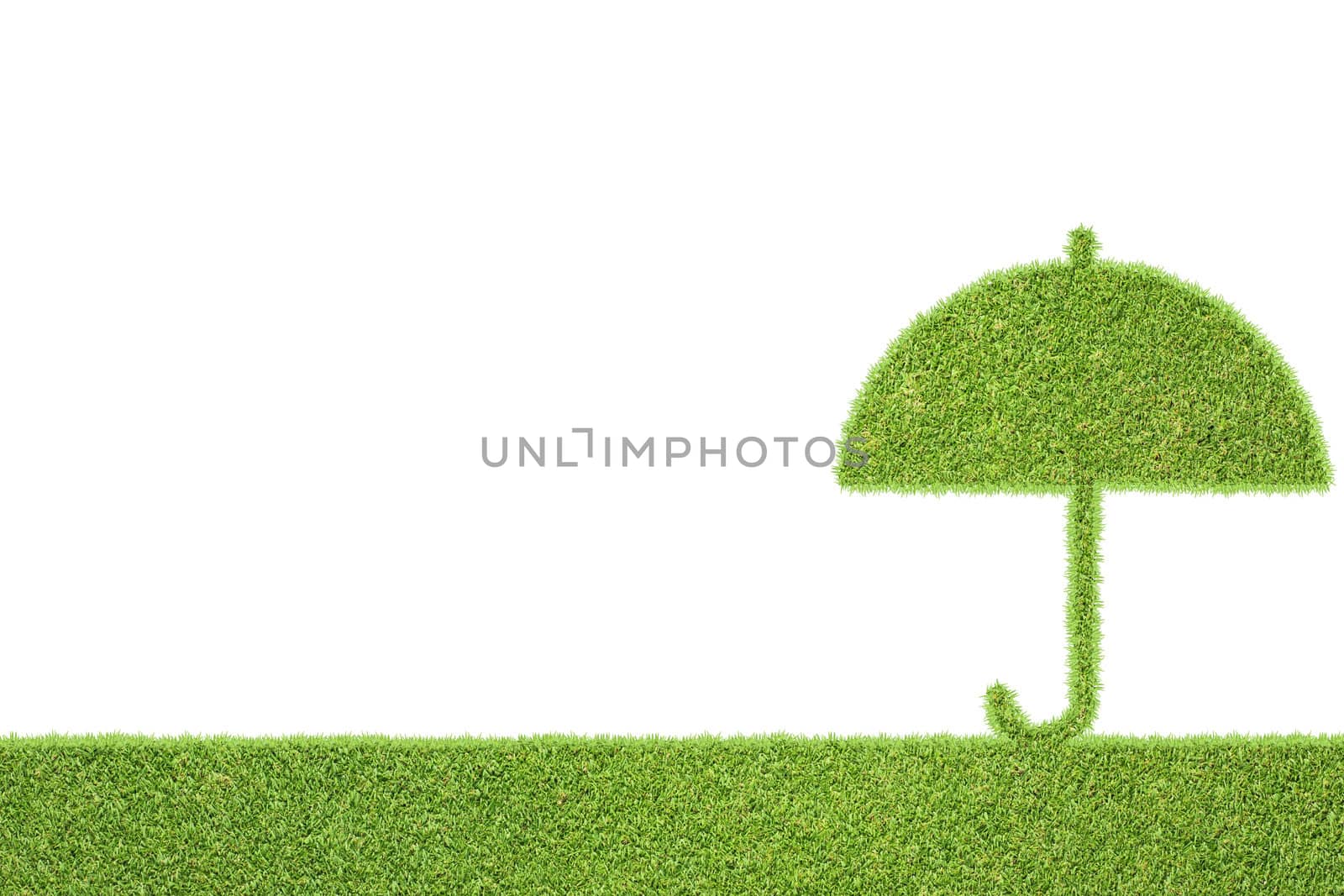 Umbrella of green grass texture and  background