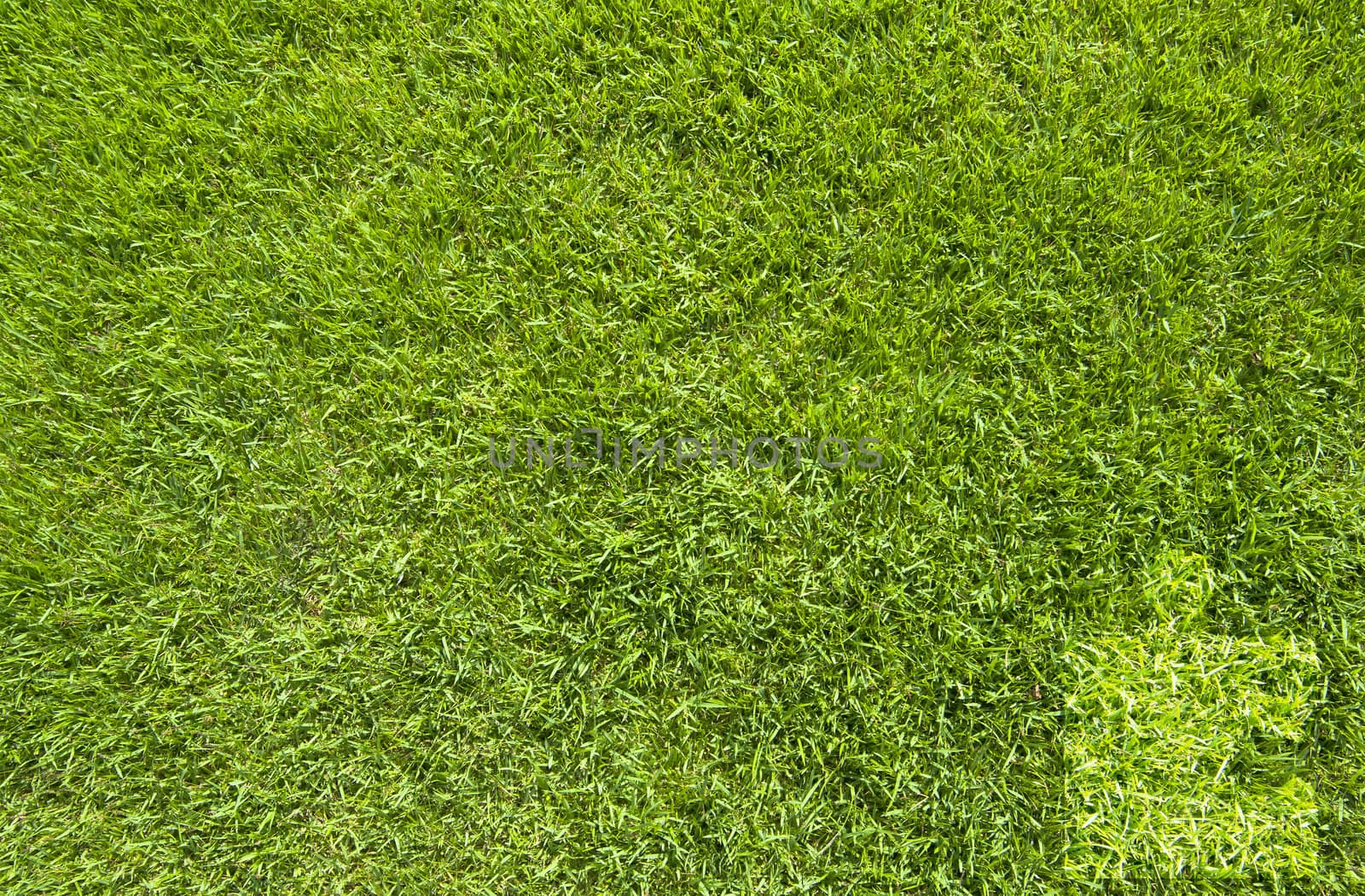 Jigsaw on green grass texture and background 