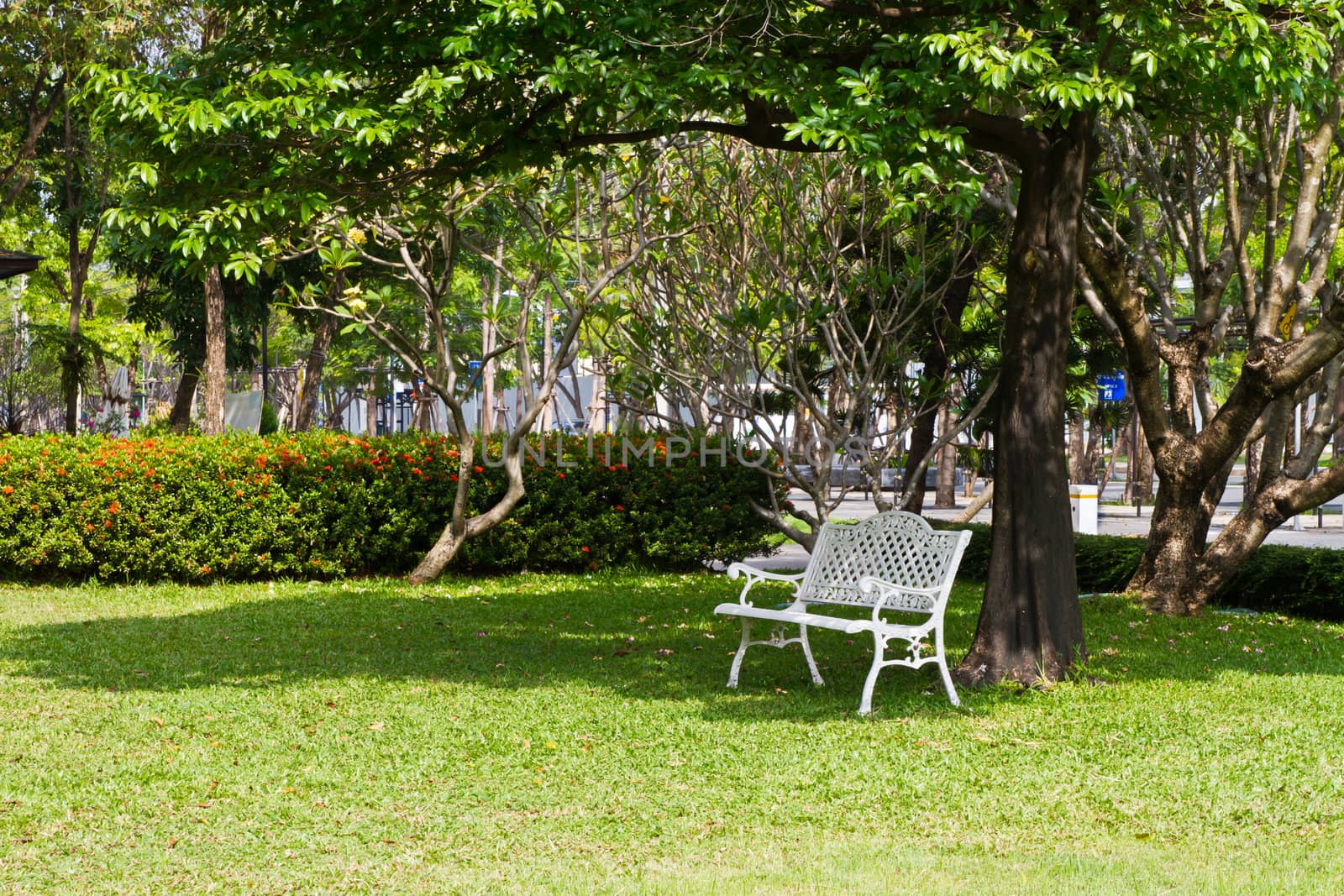 White chair in the park