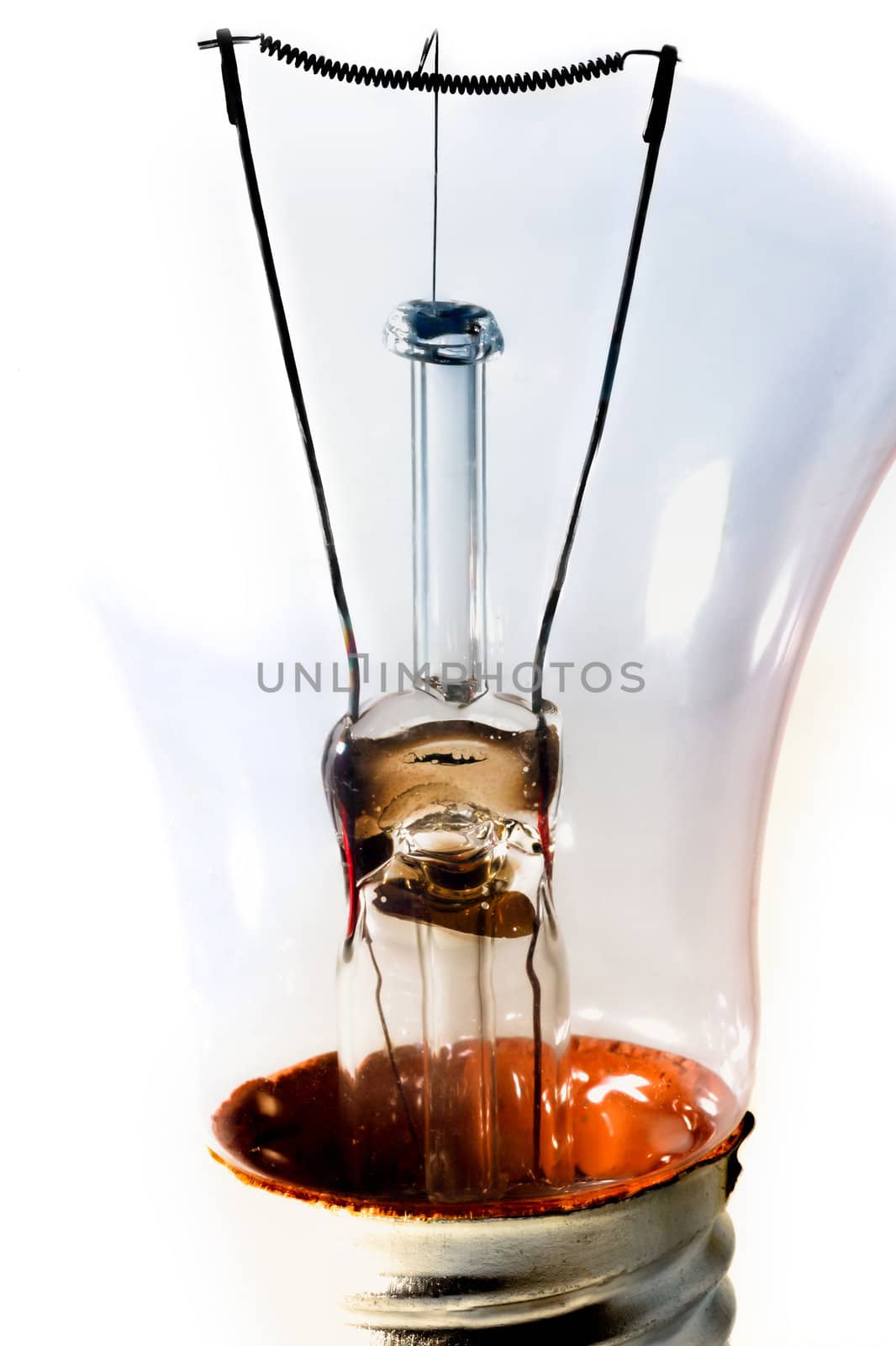 Clear Incandescent Light Bulb  Macro Isolated on White