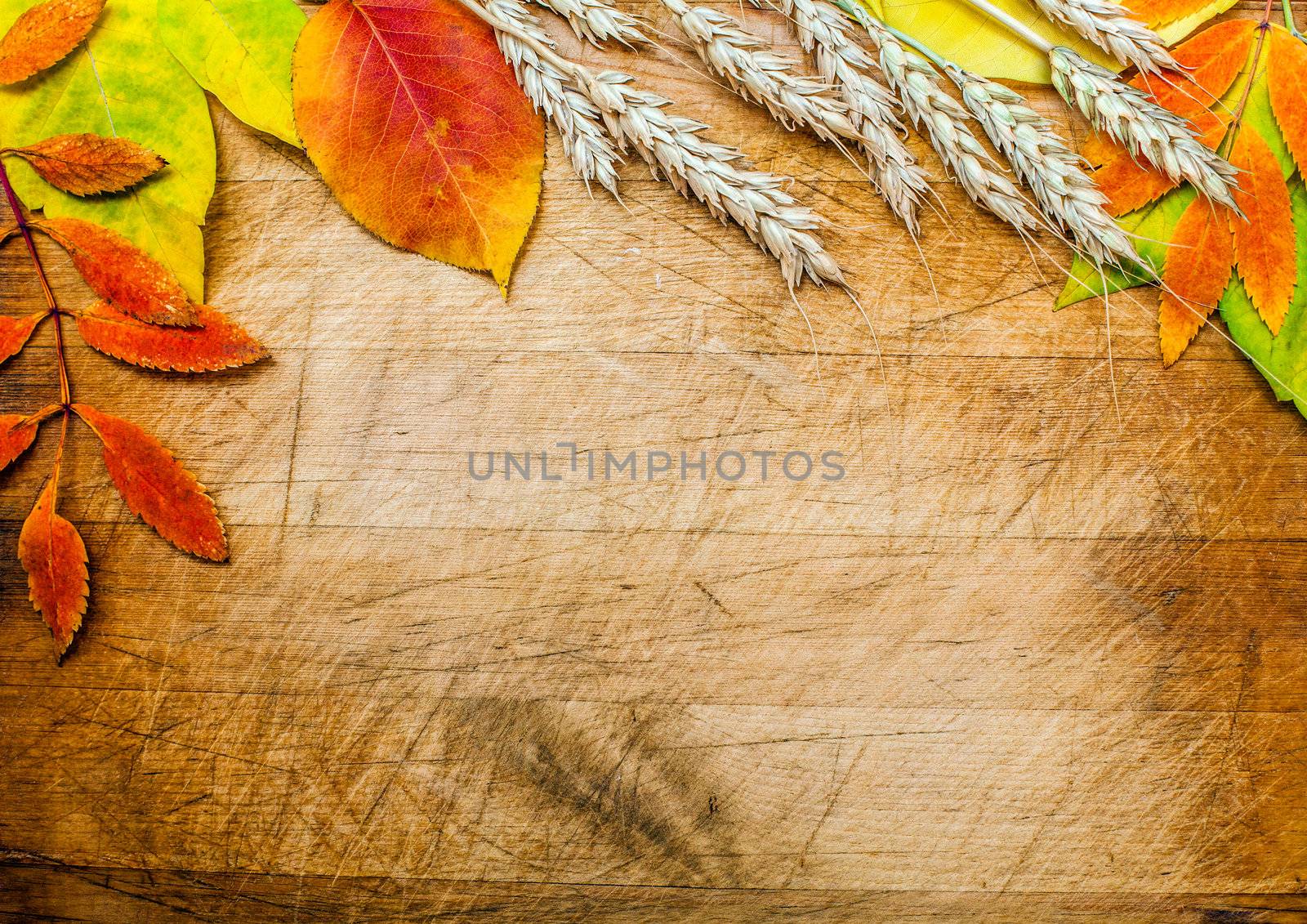 autumn leaves on a wooden surface