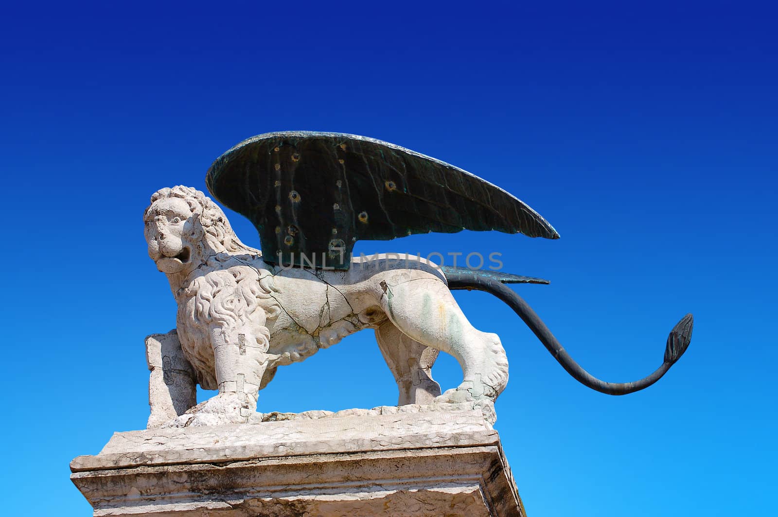Marble statue depicting the Lion of San Marco in Marostica Italy