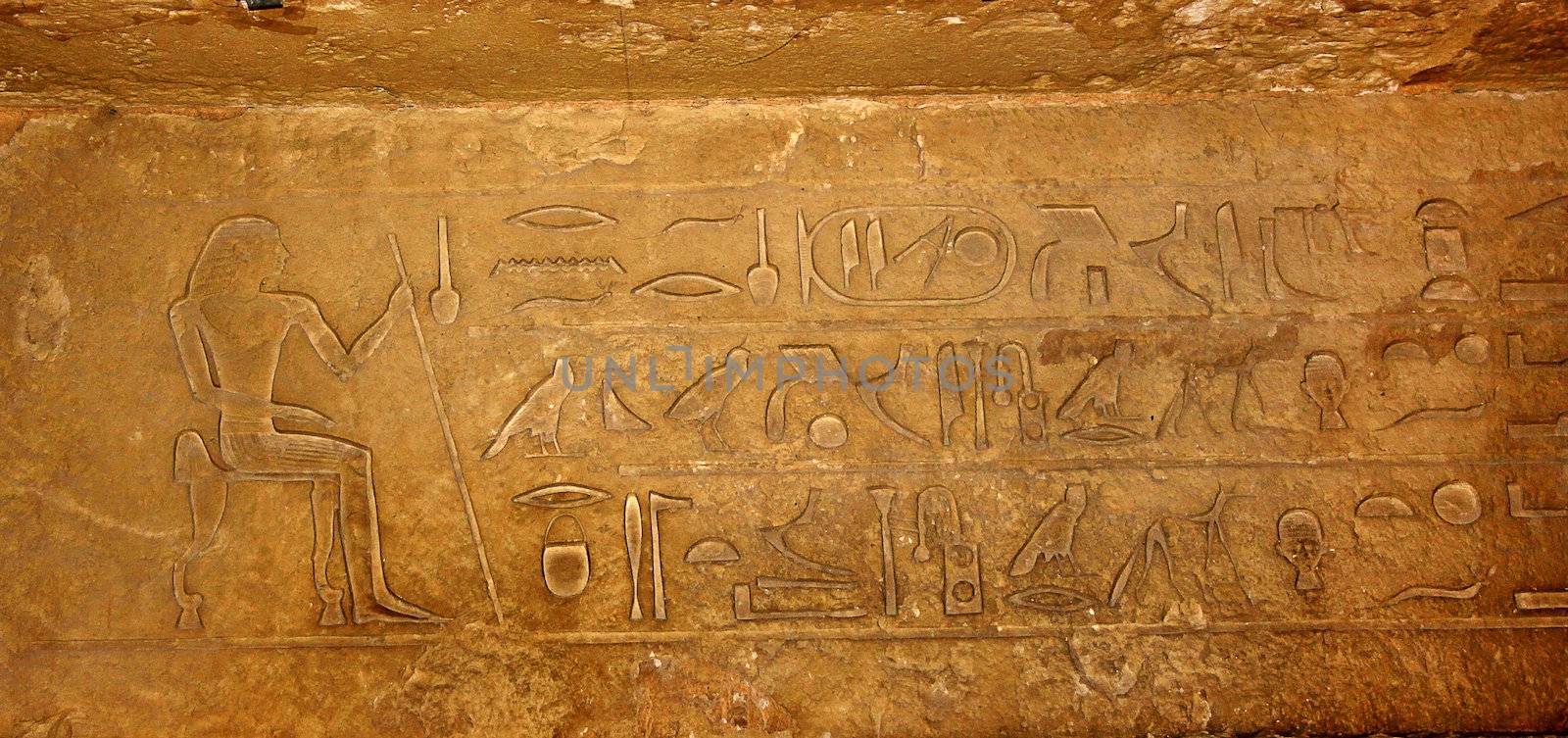 Egyptian hieroglyphs background from the tomb. Horus