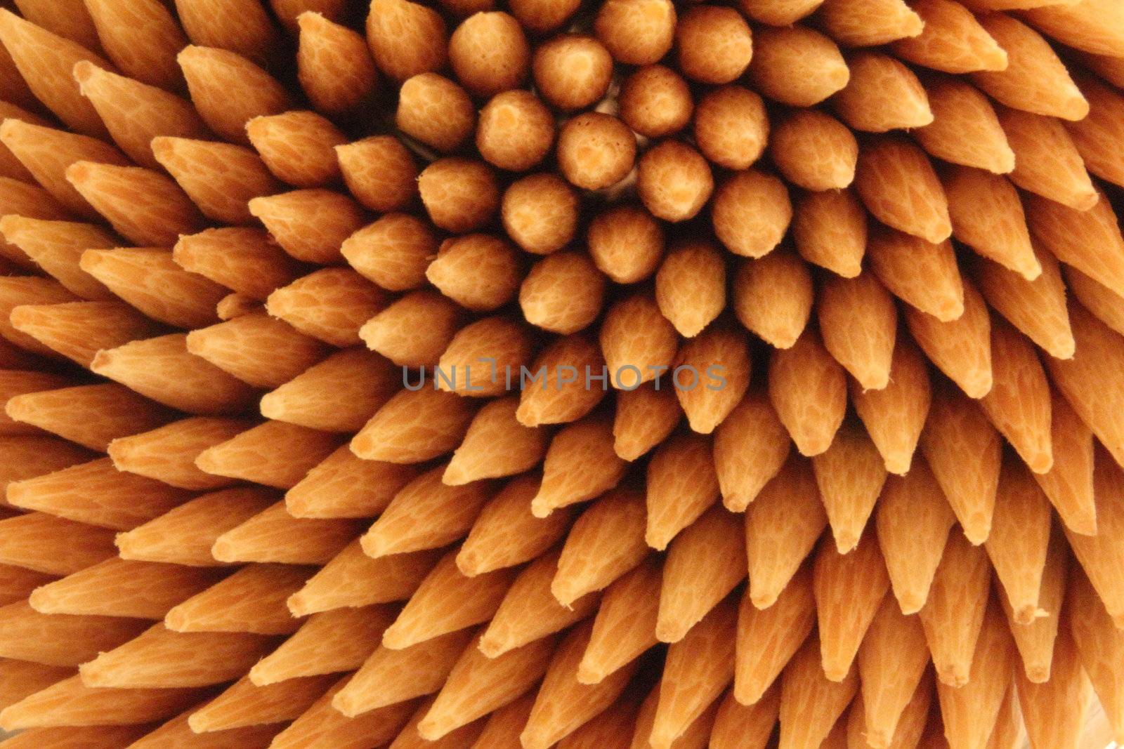 macro detail of toothpicks