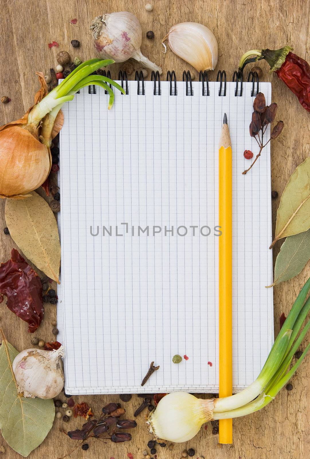 notebook to write recipes with spices by oleg_zhukov