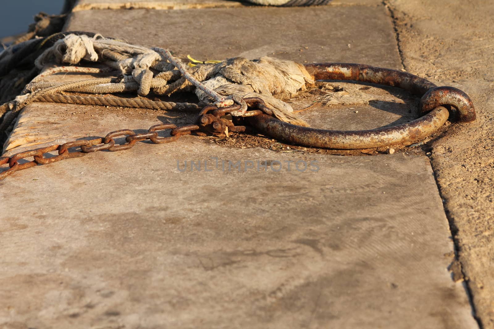 Mooring on a pier, close to a fish market
