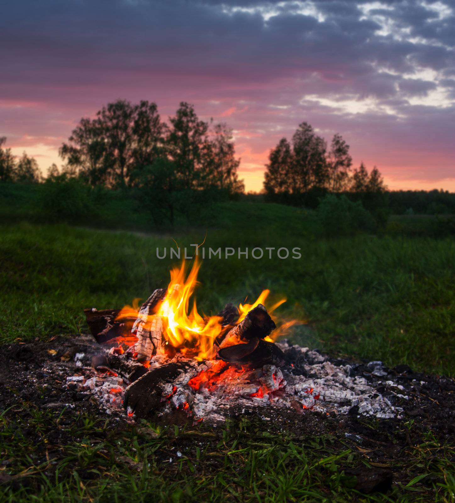 Fireplace in forest at dusk by oleg_zhukov