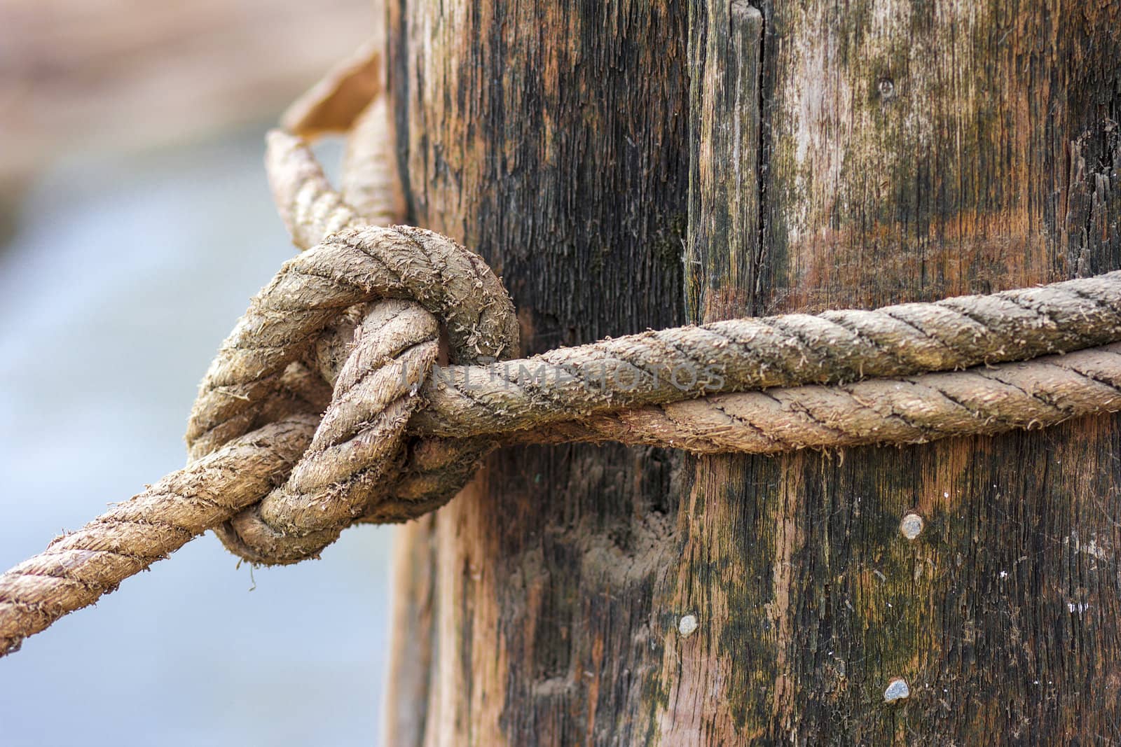 strong knot tied by a rope