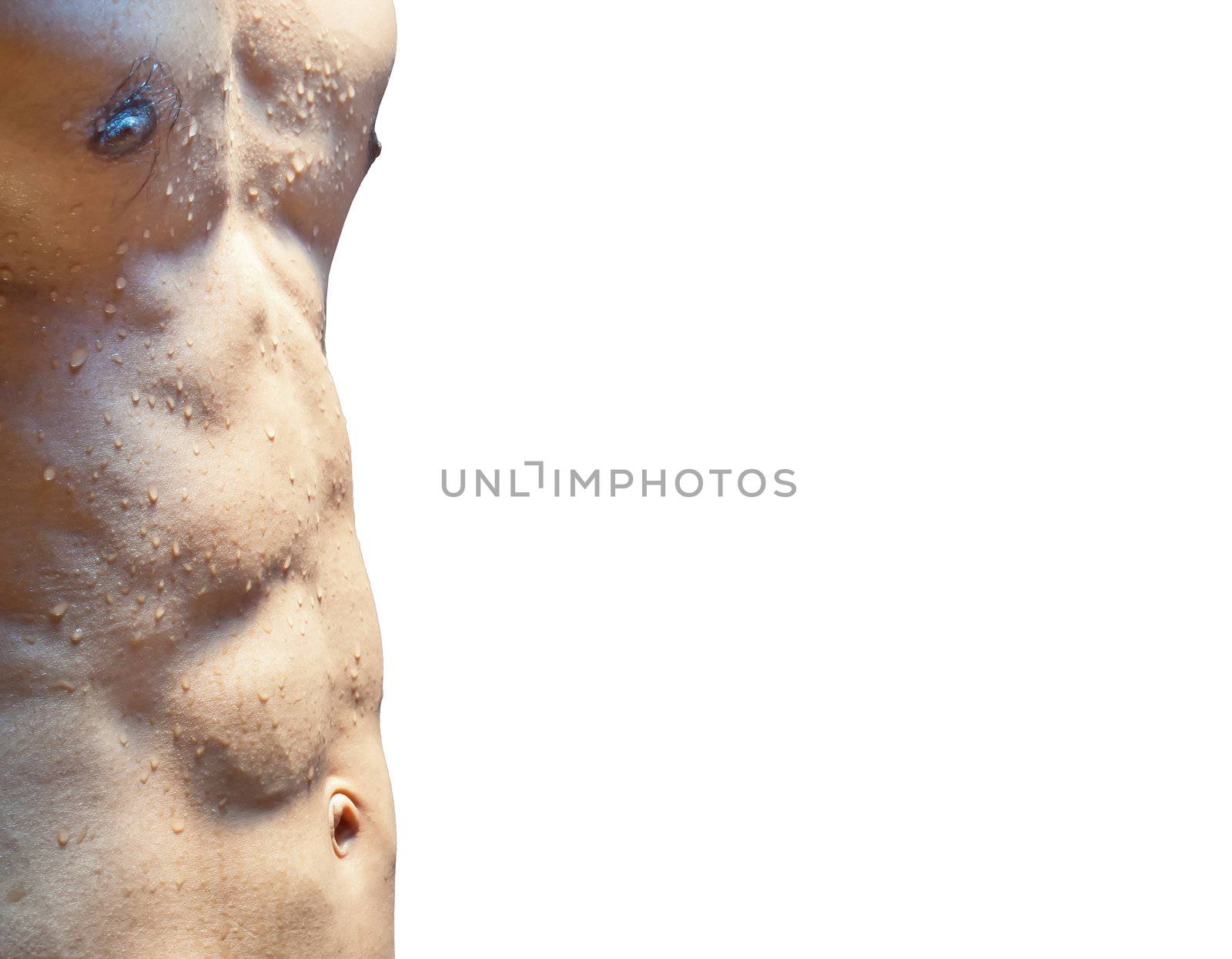 Wet torso with water drops against the white background
