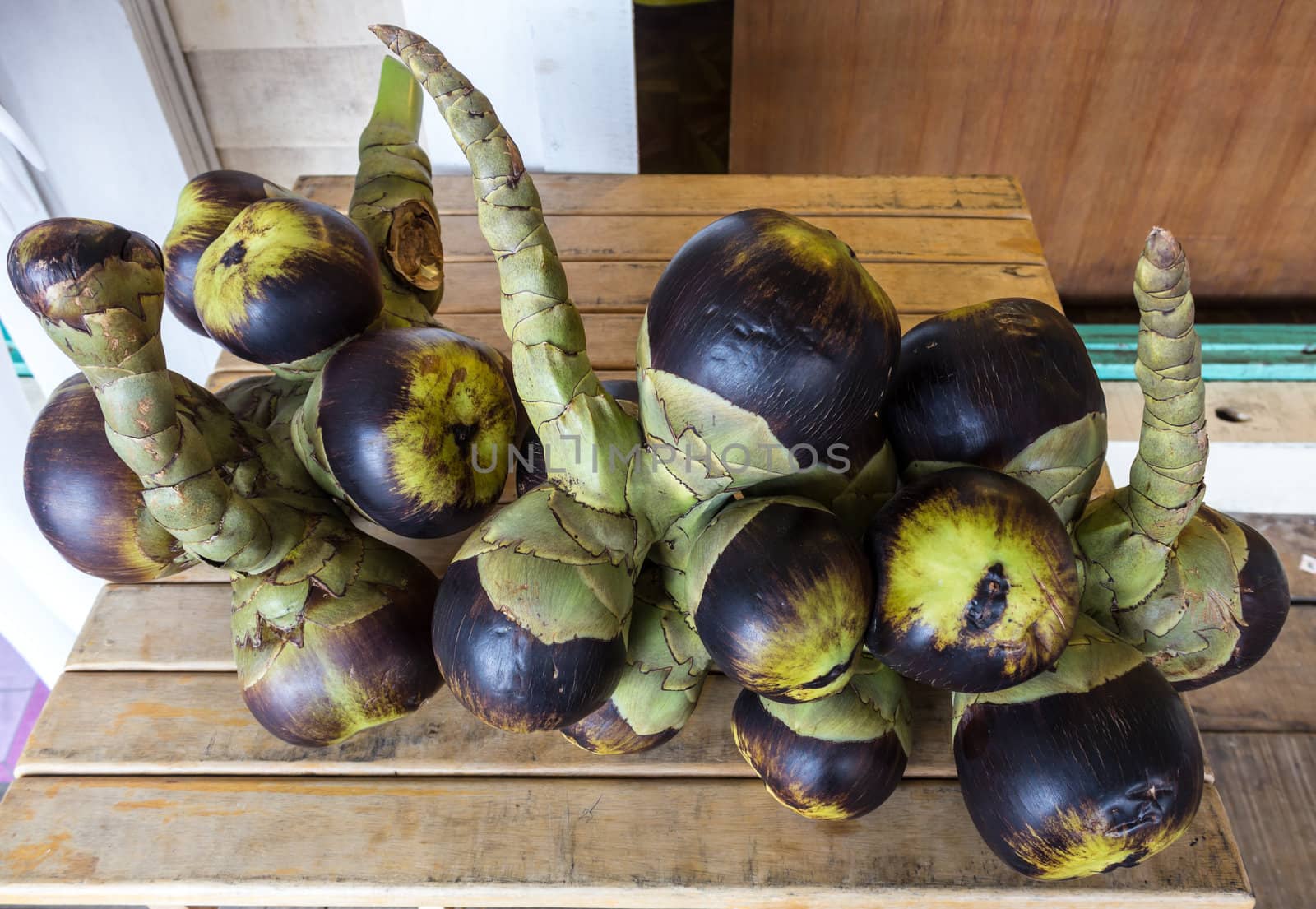 Asian Palmyra Palm or Toddy Palm on wooden table.