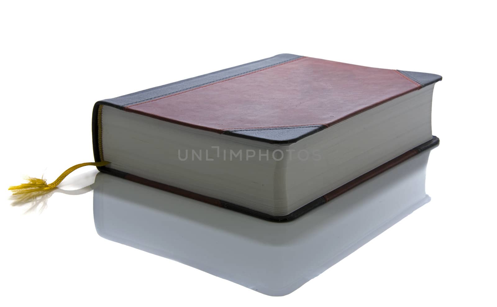 dutch bible book  by compuinfoto