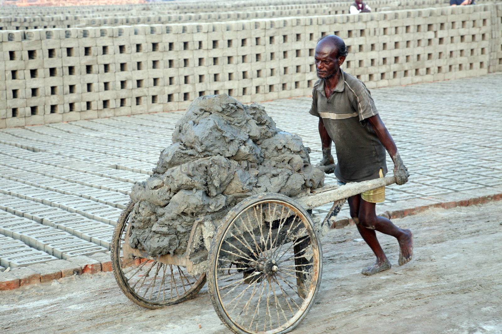 SARBERIA,INDIA, JANUARY 14: Brick field. Laborers are carrying soil from the river and keeping them in the brick field area on January 14, 2009 in Sarberia, West Bengal, India