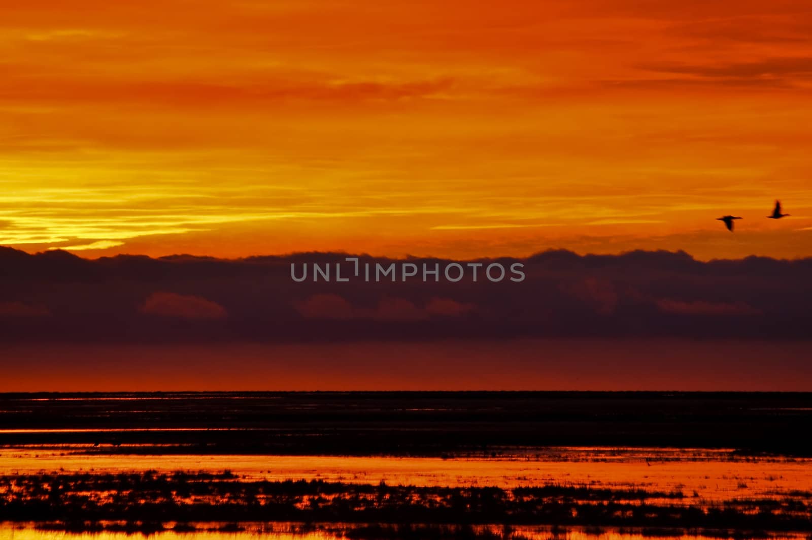 Orange and Yellow Sunrise by jkraft5