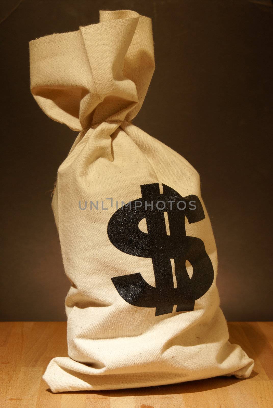 A bag of money with the dollar symbol stamped on it.