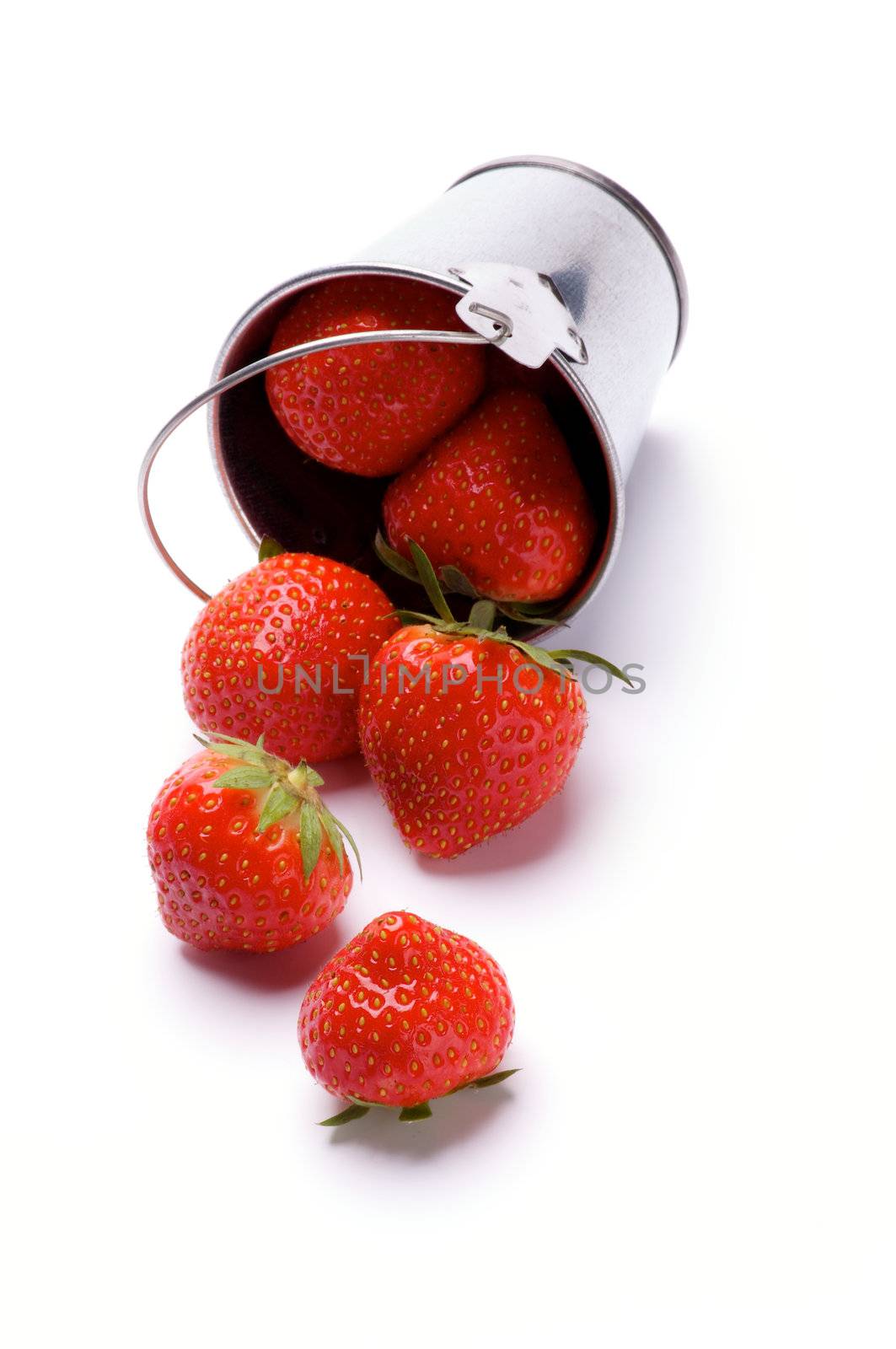 Ripe Strawberries Spilled from Tin Bucket closeup isolated on white background